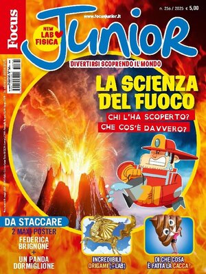 cover image of Focus Junior